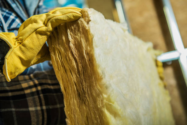 Best Insulation Installation Services in Skippers Corner, NC