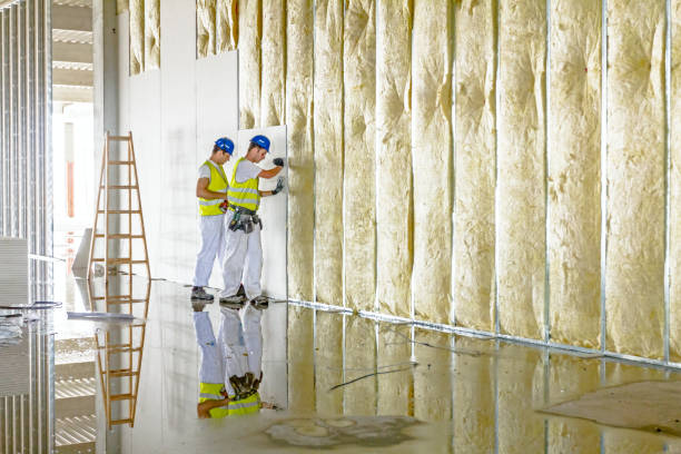 Best Insulation Maintenance and Repair in Skippers Corner, NC